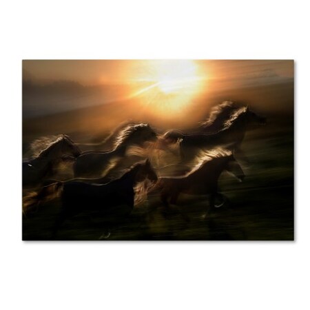 Trademark Fine Art